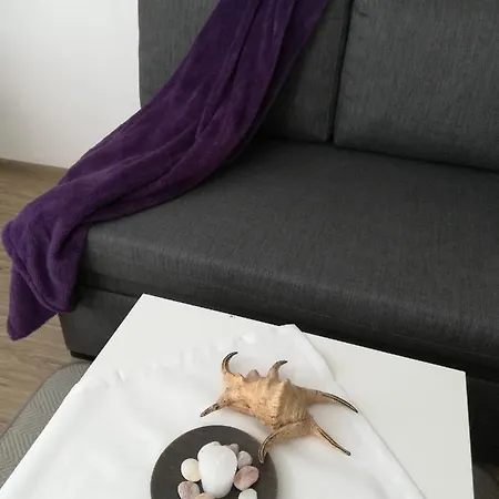 The Cozy 아파트 바르나