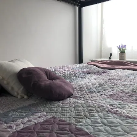 아파트 The Cozy *