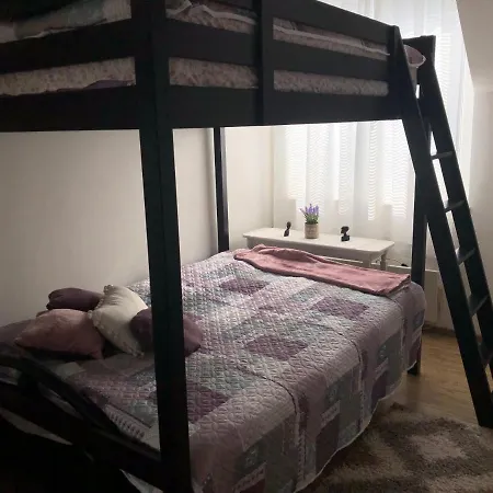 The Cozy 아파트 *
