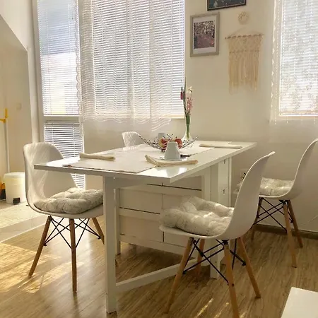 The Cozy Varna