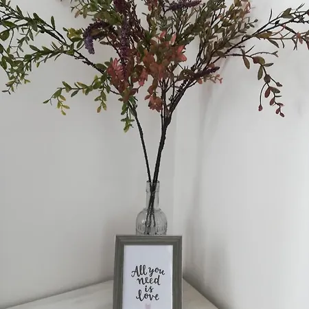 Appartamento The Cozy *